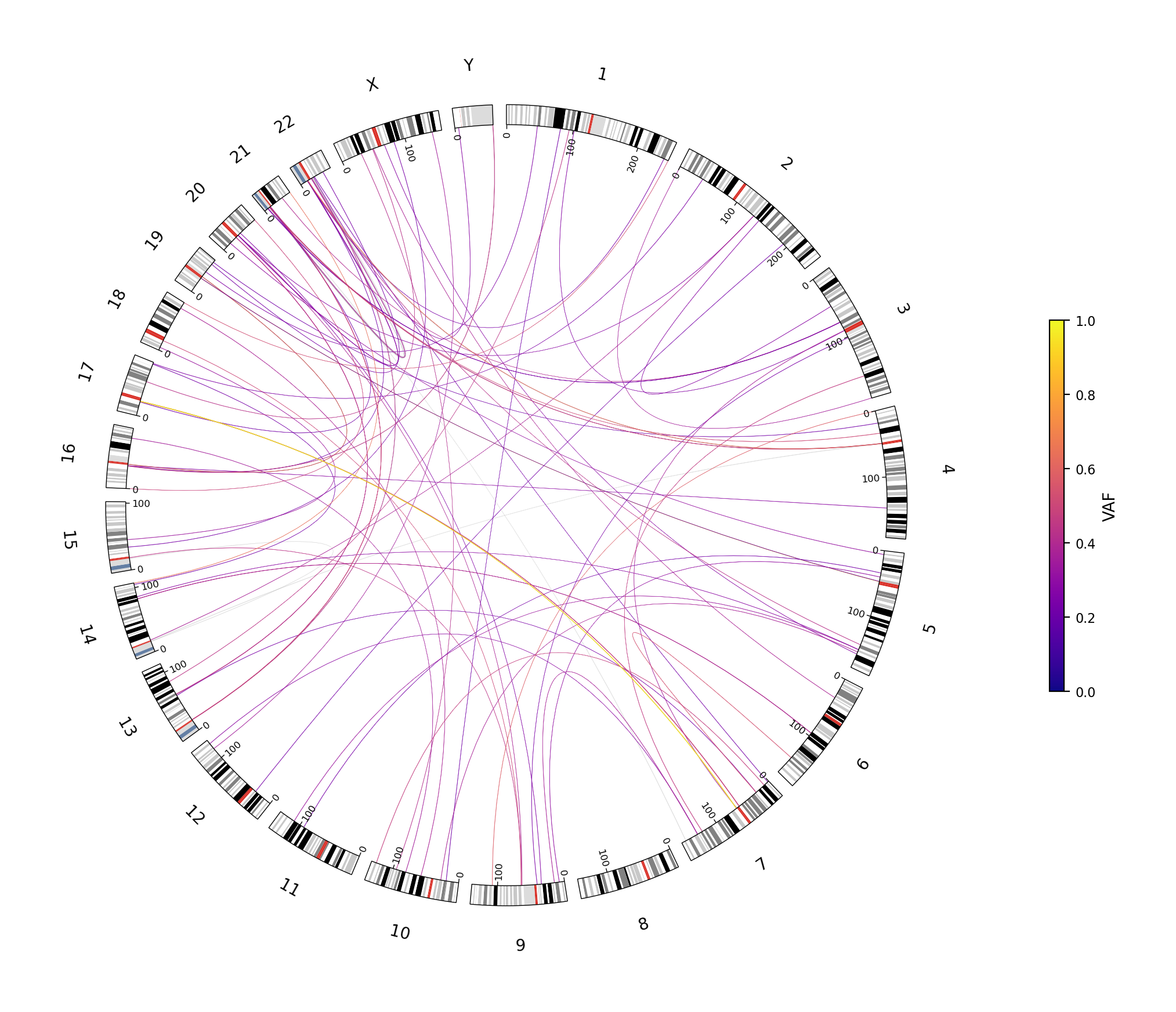 SV circos plot